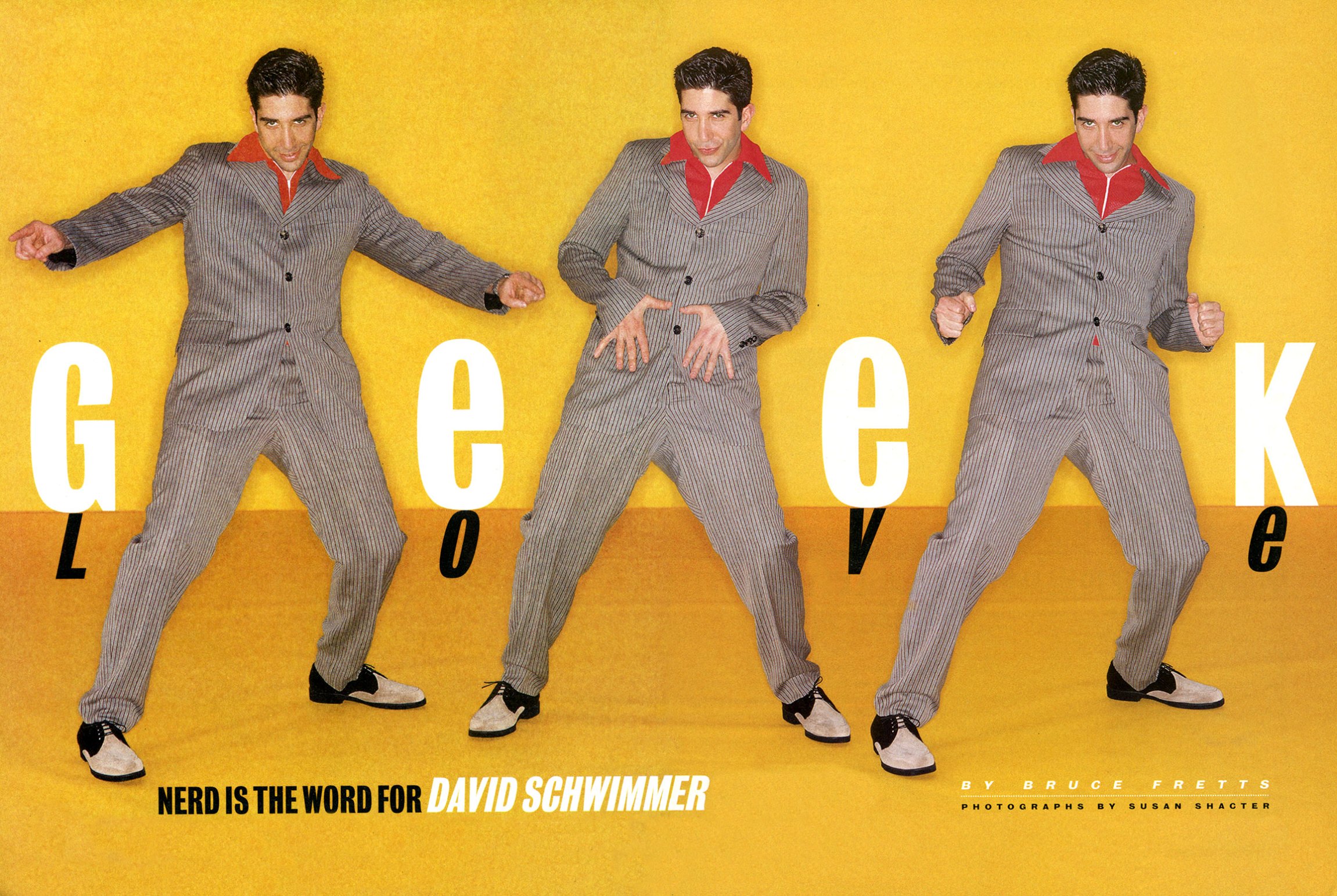 david-schwimmer021